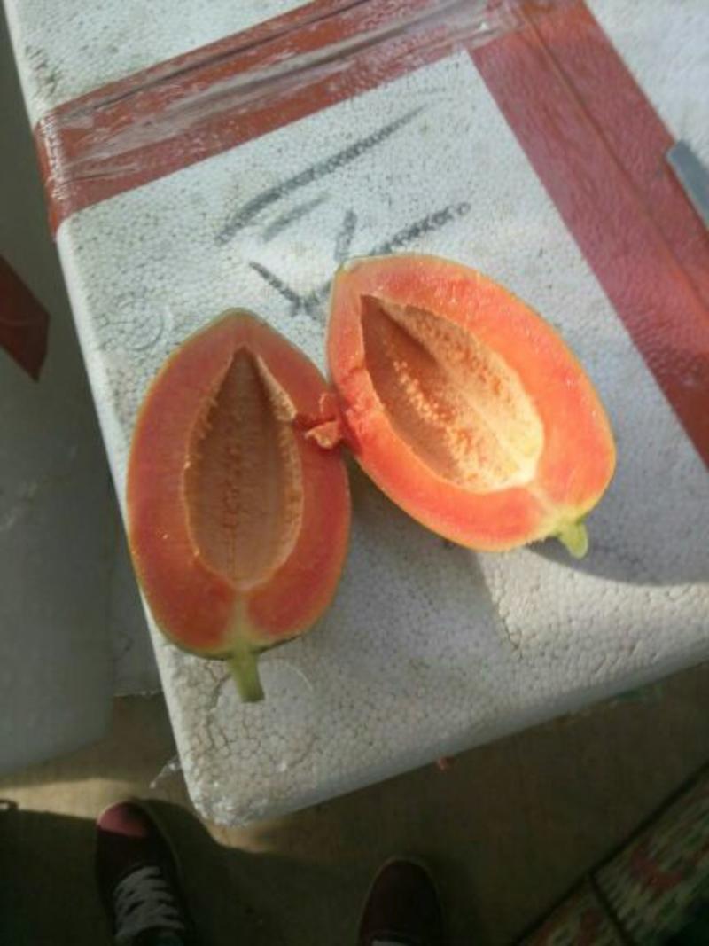 水果木瓜1.5~2斤