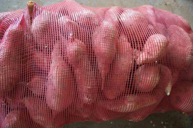 红薯白心3两以上