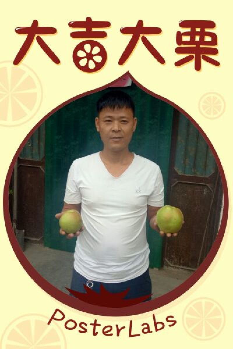 秋月梨树苗100~150cm0.8cm