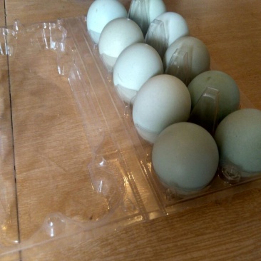 绿壳鸡蛋食用50g以下