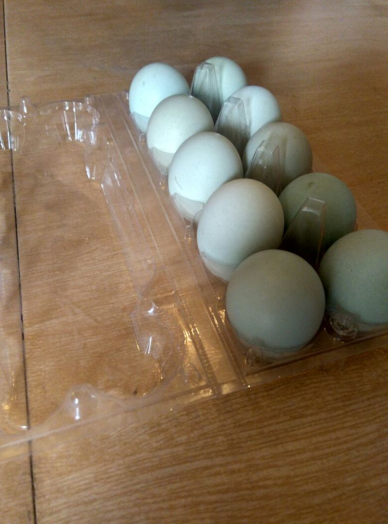 绿壳鸡蛋食用50g以下