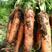 三红胡萝卜红3两以上15厘米以上带土
