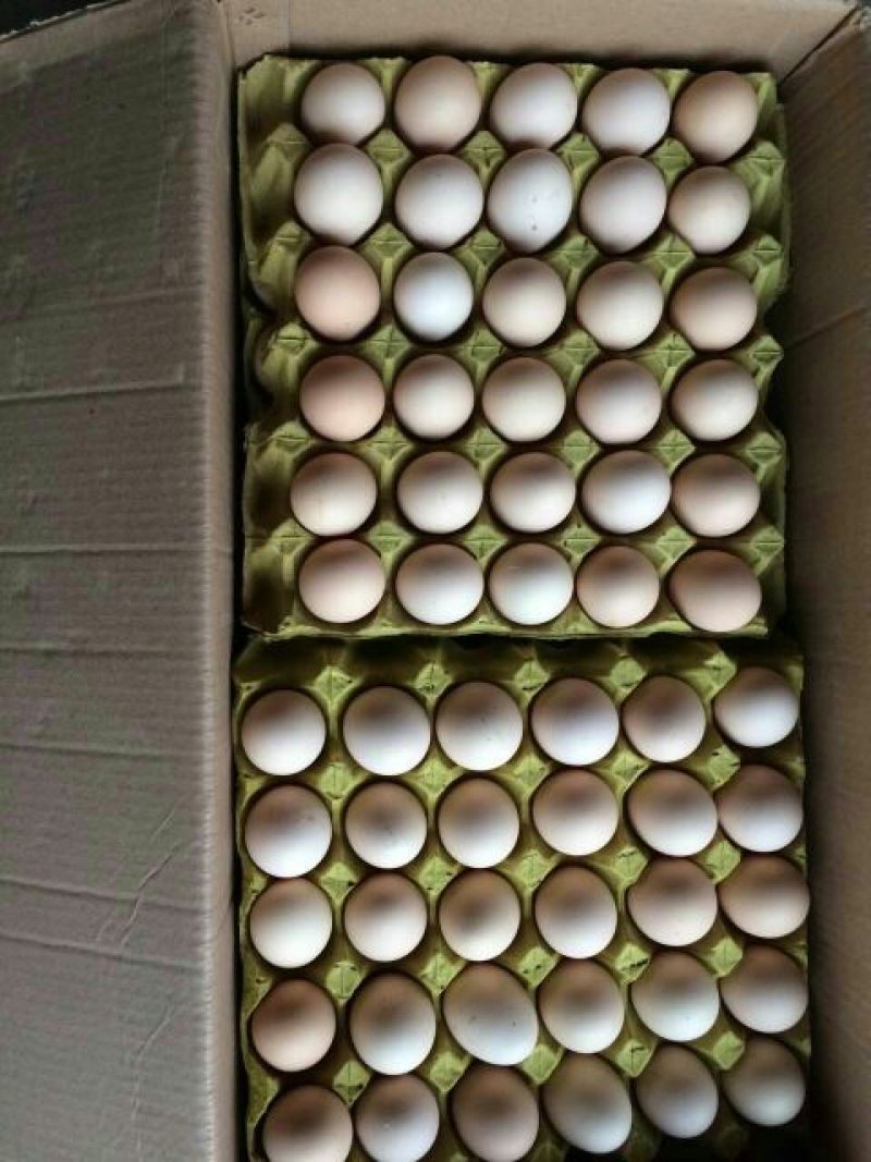 粉蛋食用50g以下
