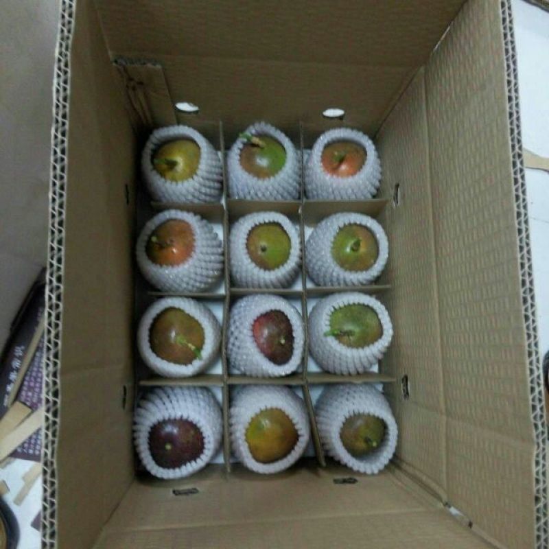 百香果紫果80~90g