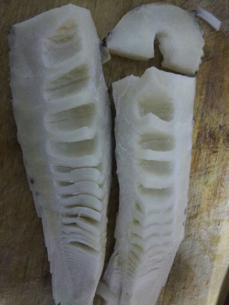 毛竹春笋15~20cm