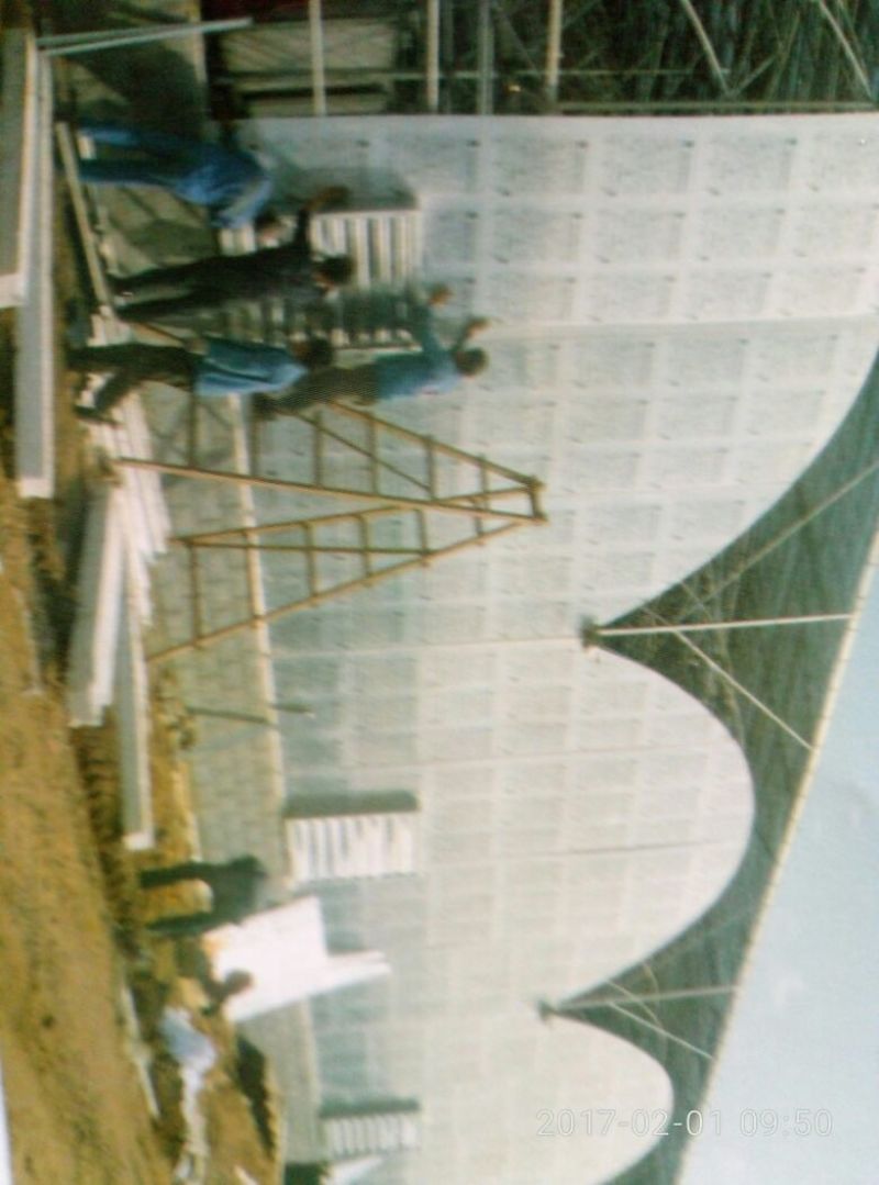 温室大棚连栋温室建造，设计规划及农产品种植技术。