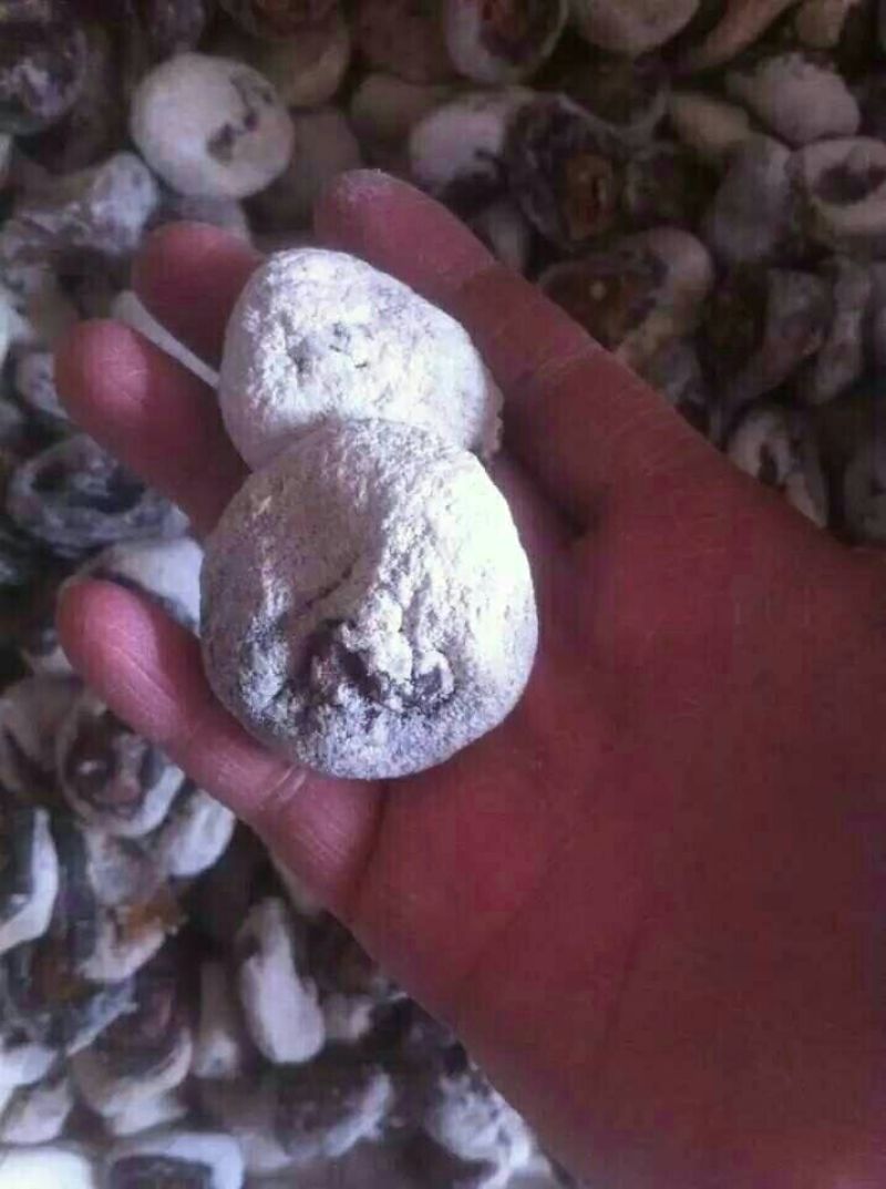 柿饼