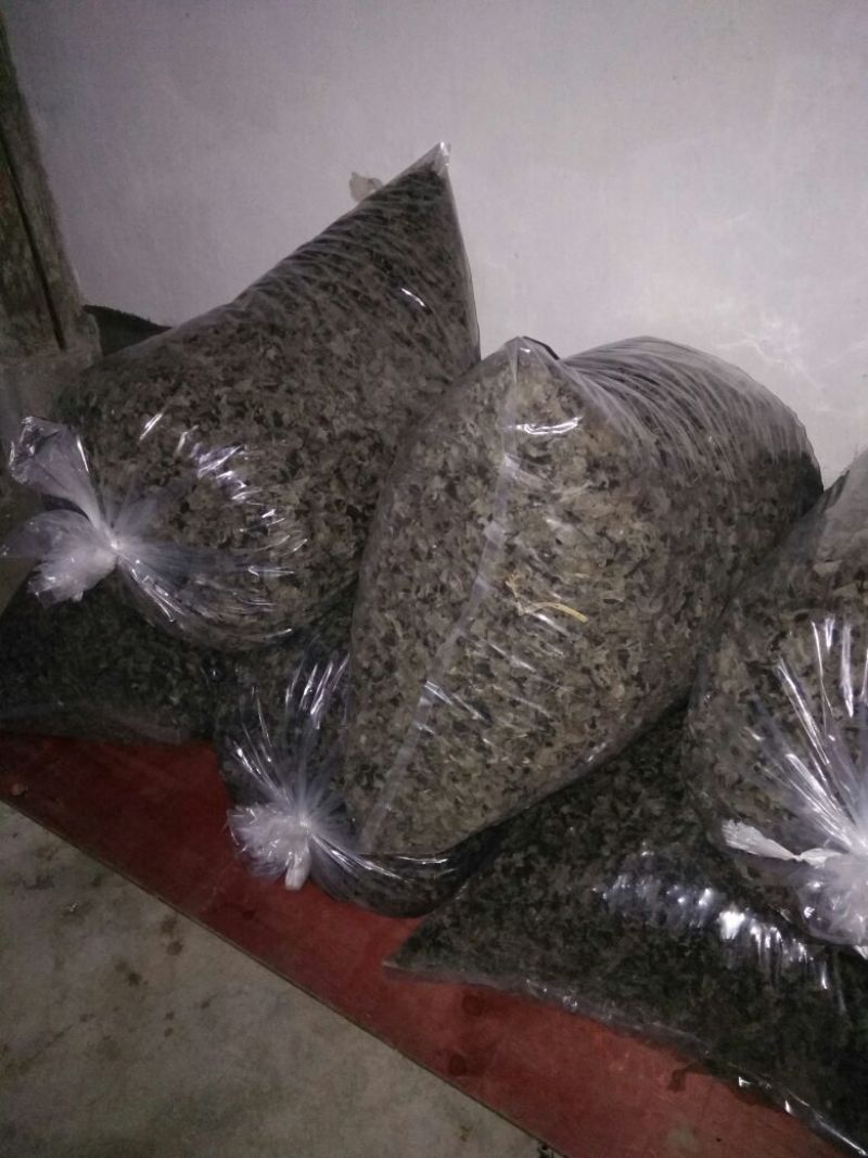黑木耳一级