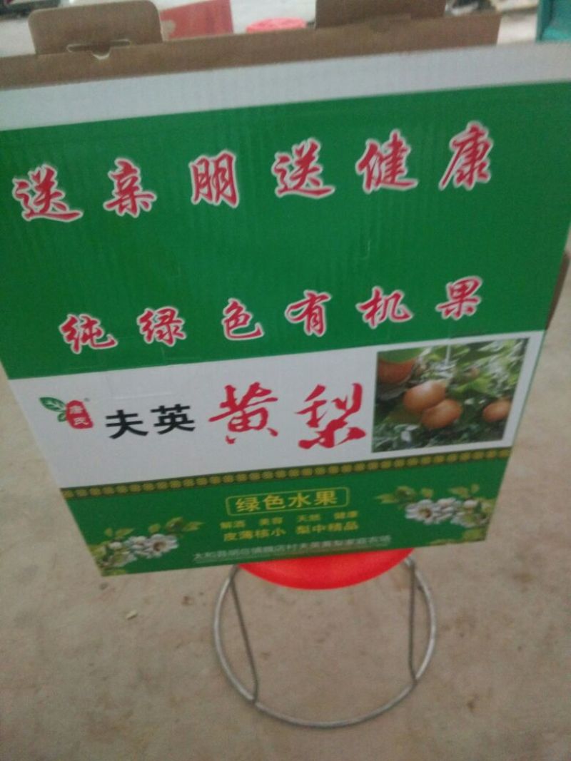 晚秋黄梨450~500g纸袋