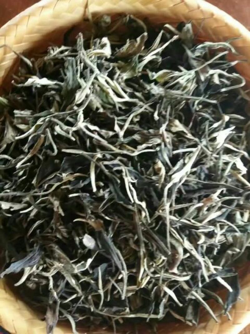 普洱绿茶紧压茶