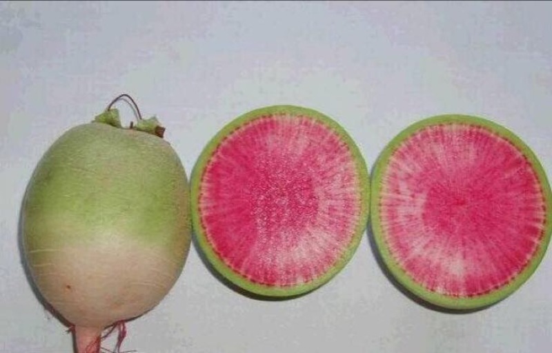 满堂红心里美