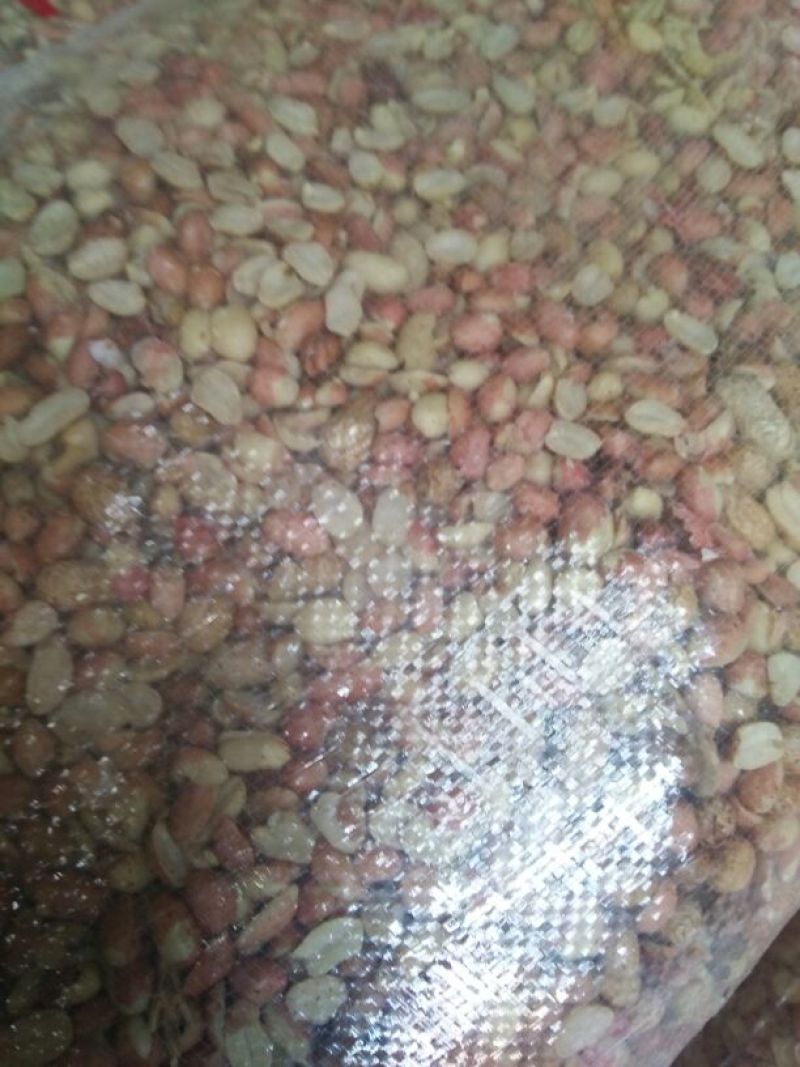 白沙系列