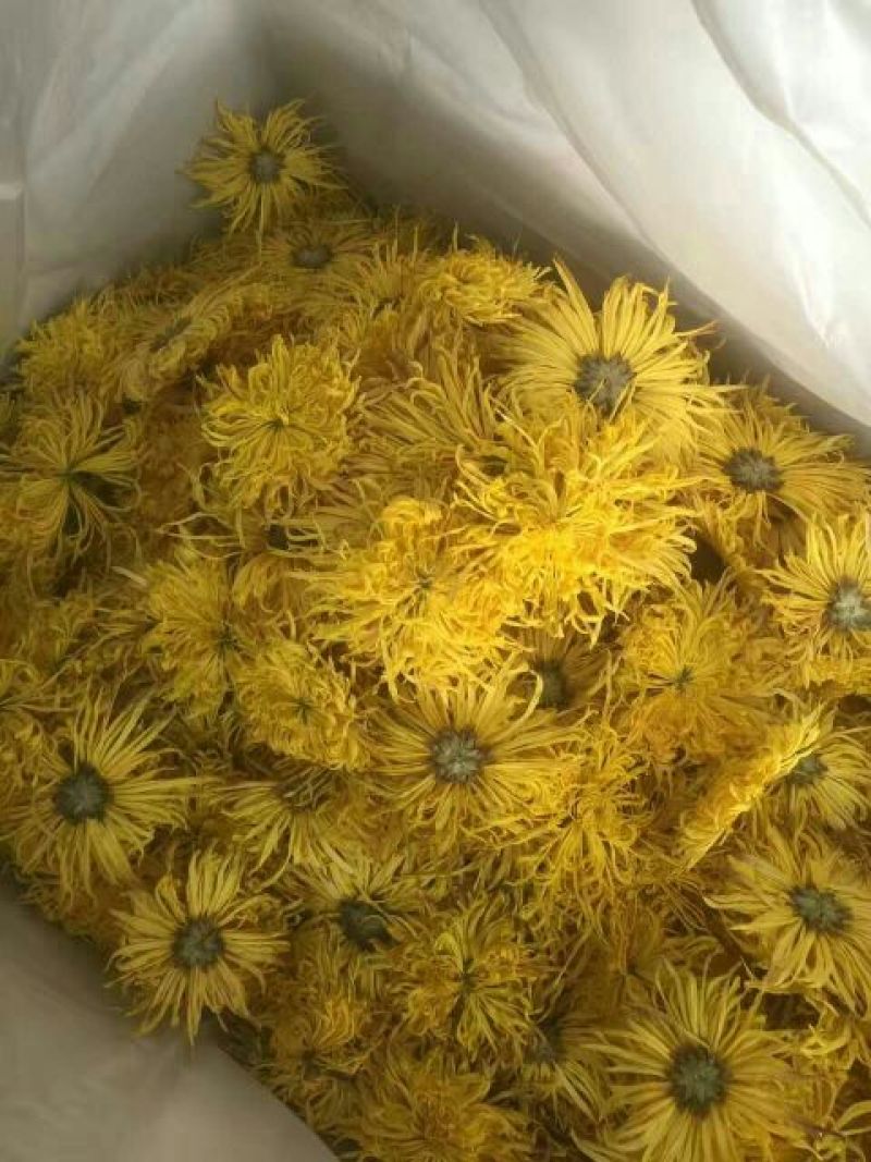 菊花茶