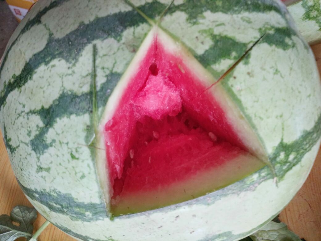 西瓜红实物图