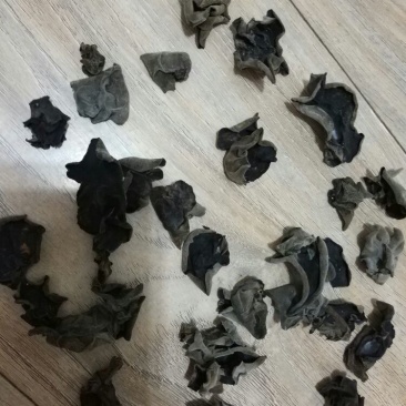 秋耳二级