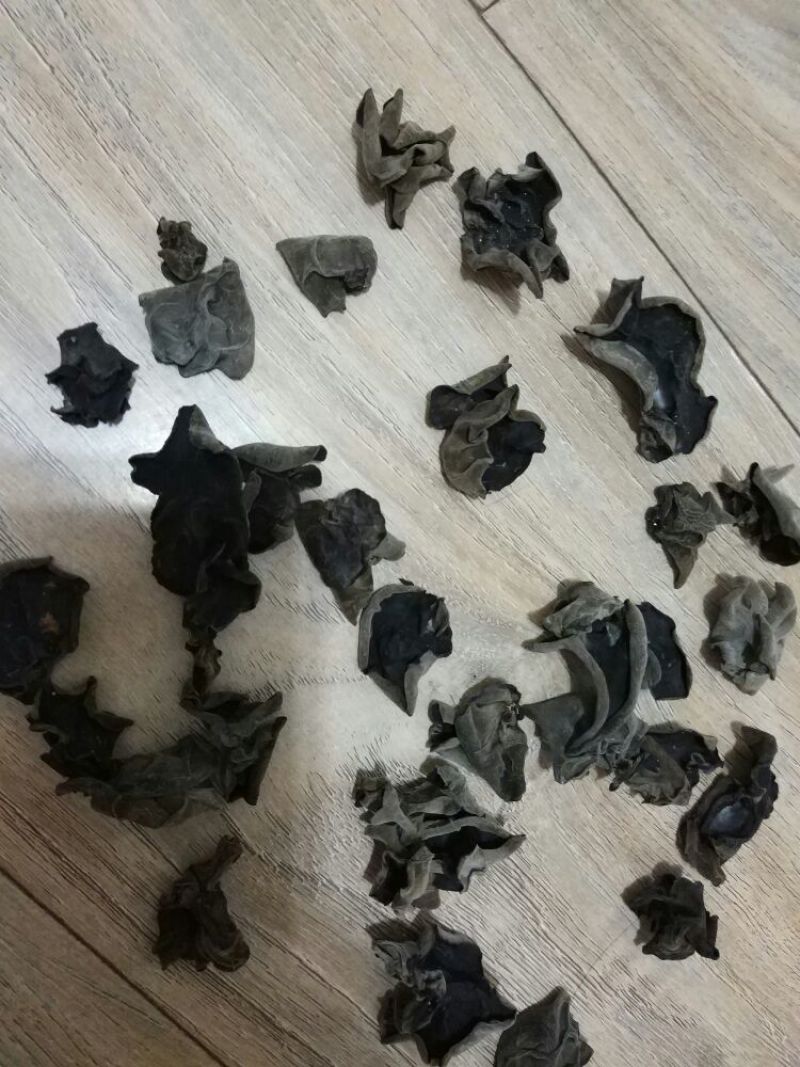 秋耳二级