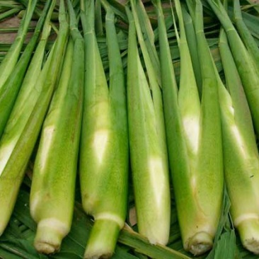 特早熟双季茭白带壳