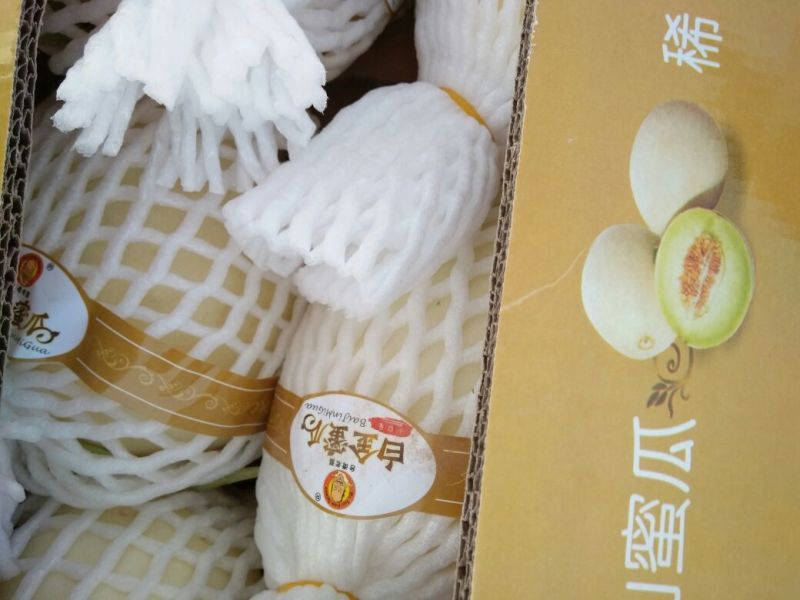 鄯善哈密瓜1斤以上长圆形