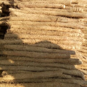 白玉山药3~4厘米50~70厘米一级