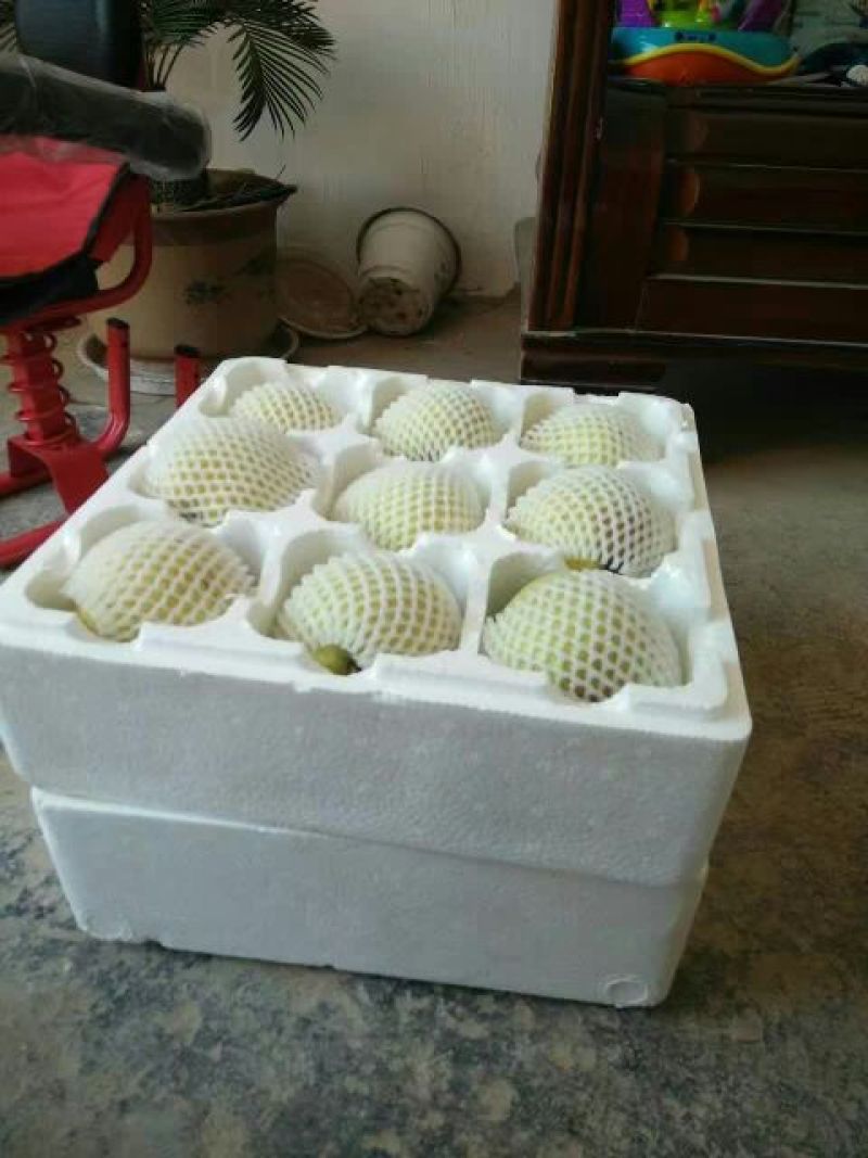 砀山梨150~200g纸袋