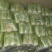 山东白菜，北京新三号白菜，4~6斤净菜大量供应，欢迎致电