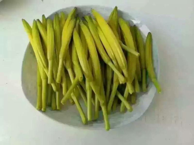 黄花菜金针菜产地直供万亩菜地大量有货，干湿同收散装一级