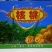 新疆核桃40mm以上去皮干