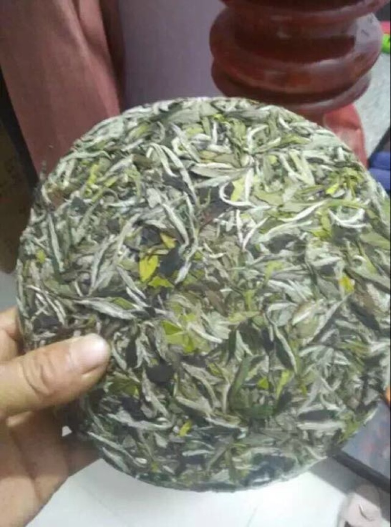 福鼎白茶