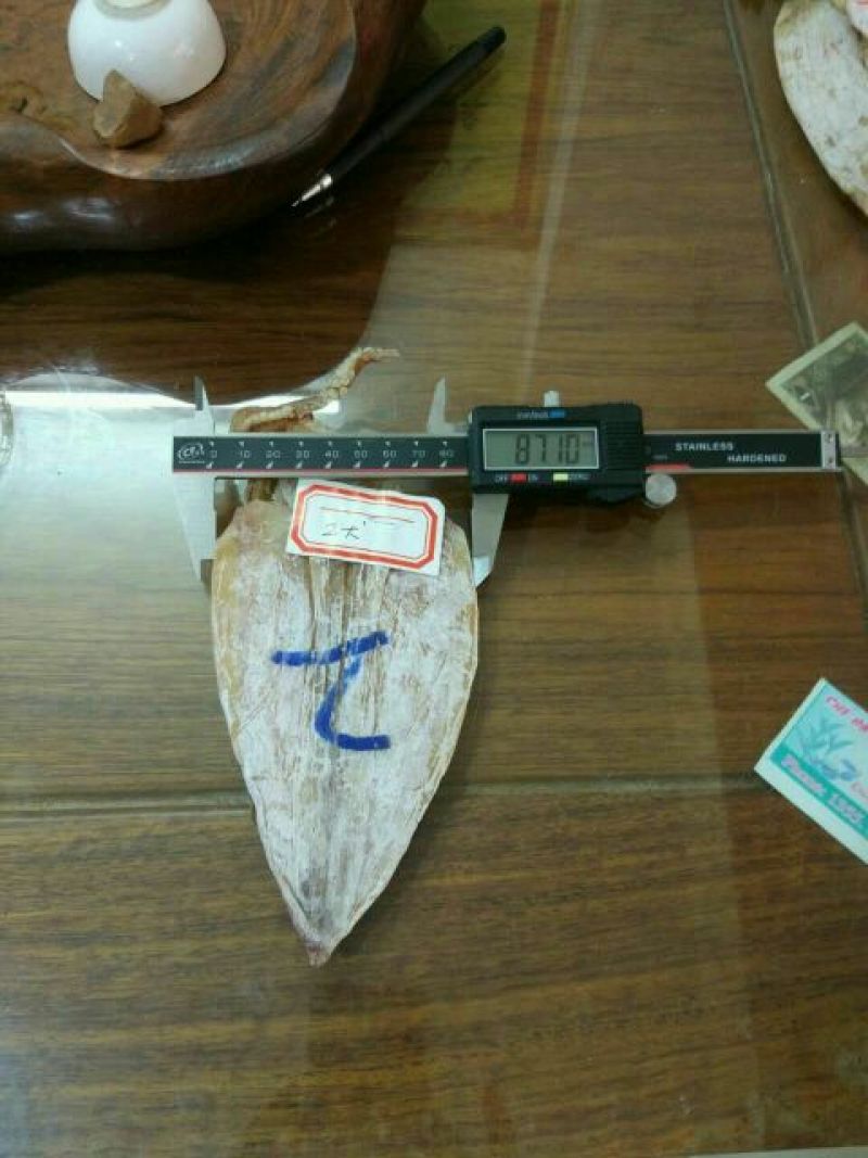 鱿鱼干包装