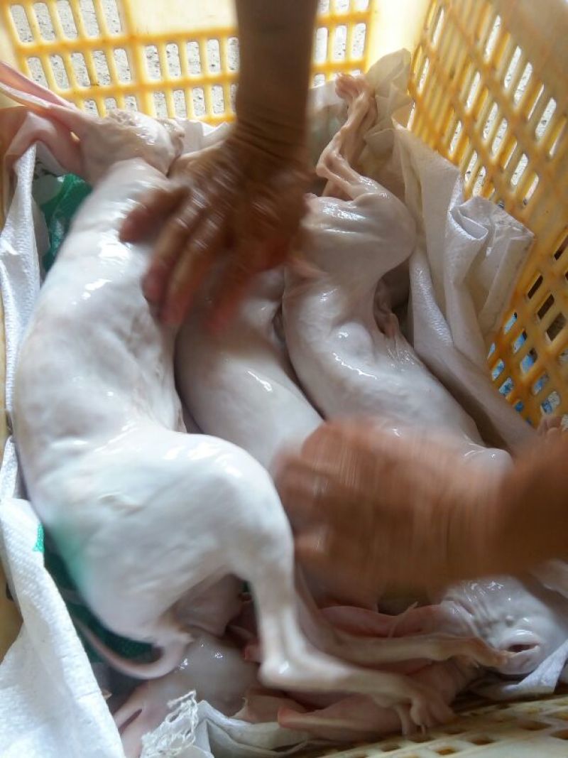 兔肉3~5