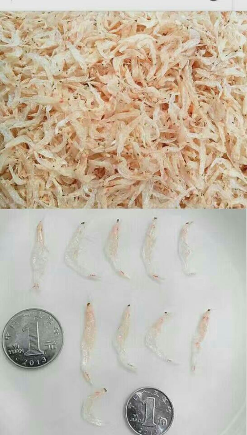 虾皮特级