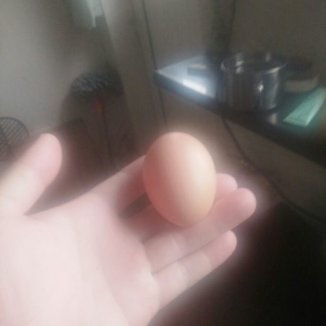土鸡蛋食用50g以下