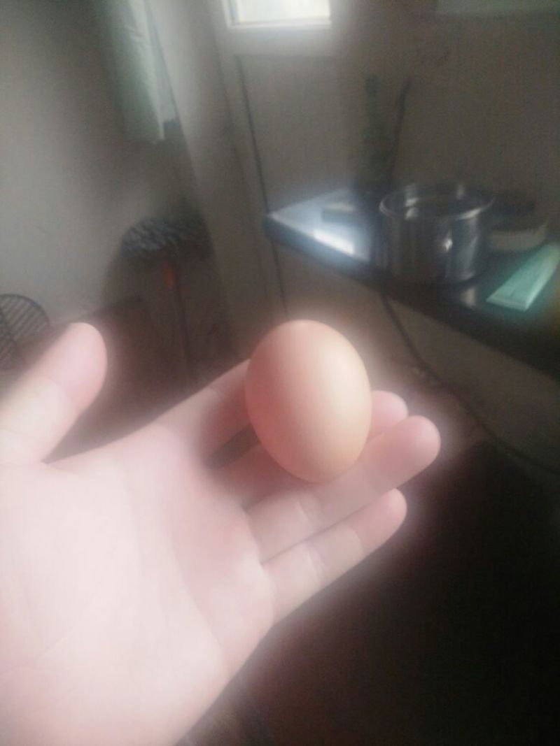 土鸡蛋食用50g以下