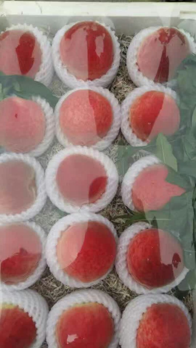 陕西大荔油桃3两以上，产地直发，质量保证，欢迎进店联系