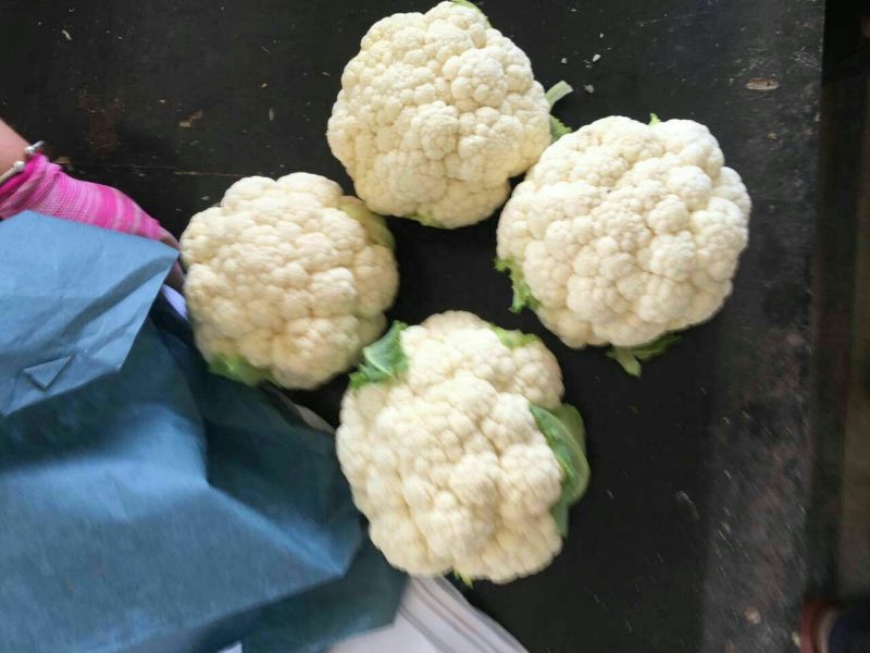 精品菜花，代发全国各地，对接全国市场及商超产地直发