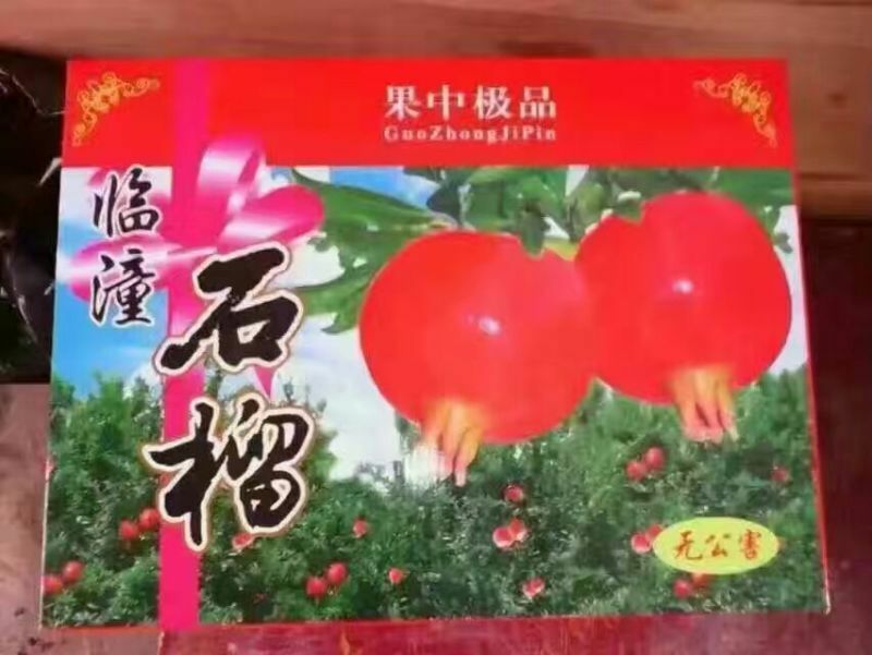临潼石榴6两~8两