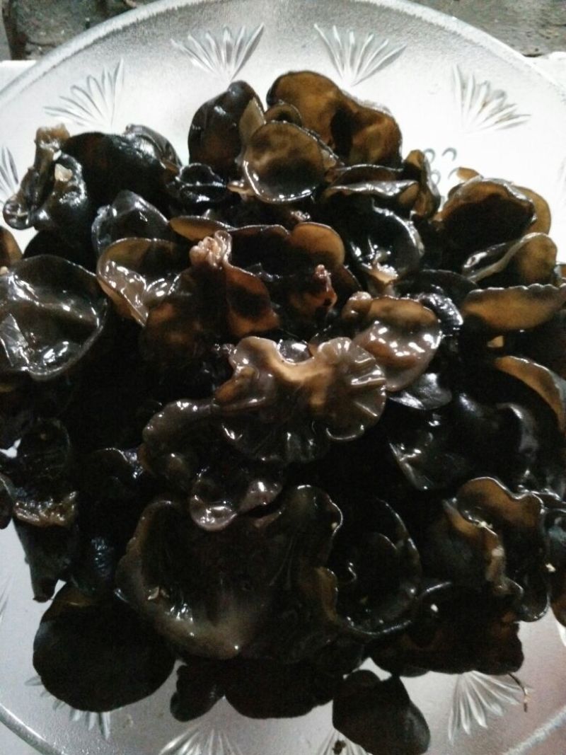 黑木耳一级