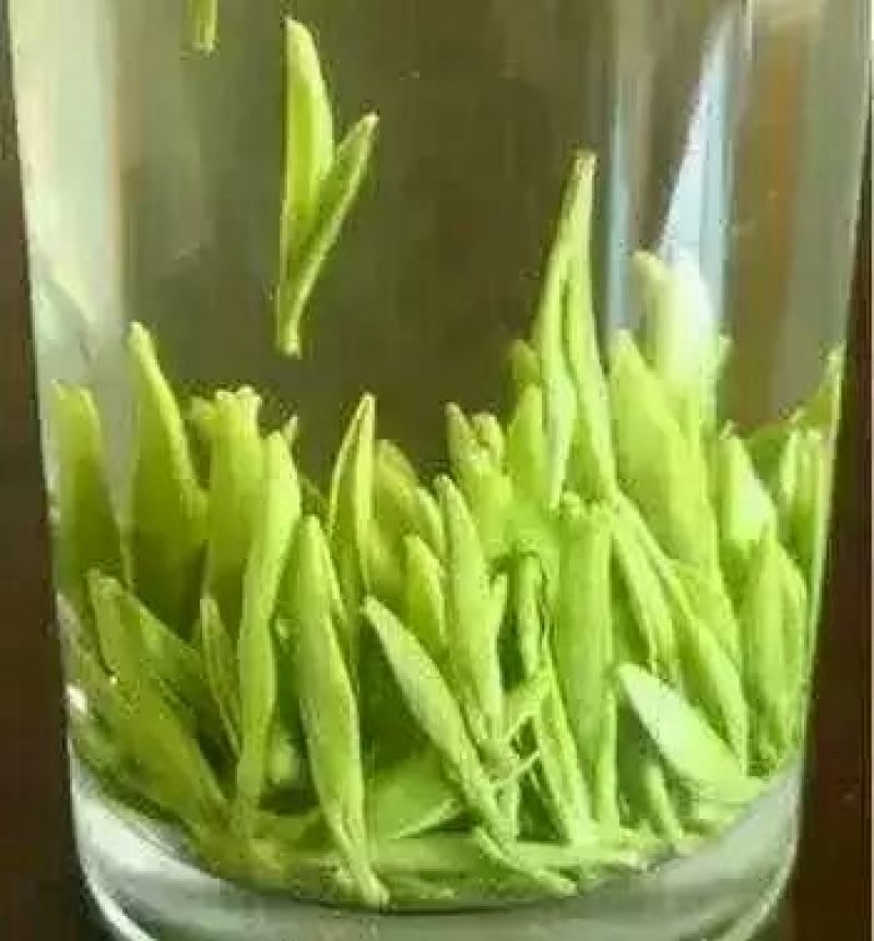 五峰绿茶
