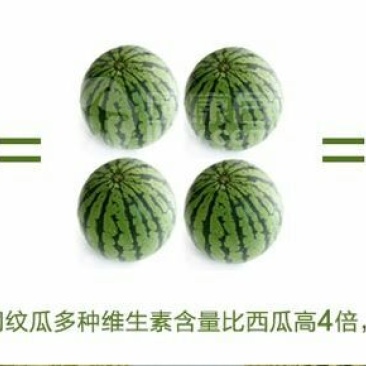 网纹瓜3斤以上椭圆形