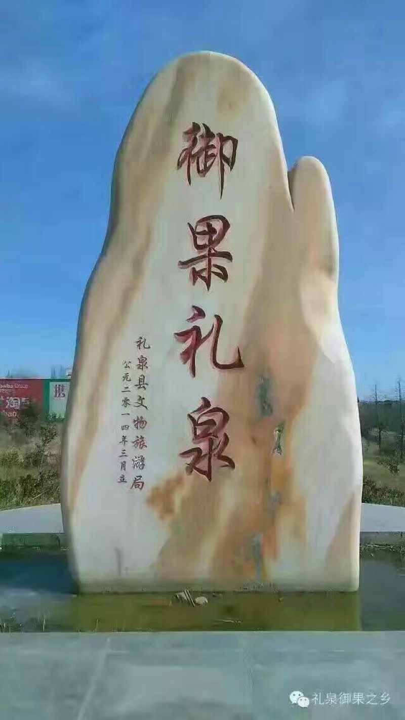 酥梨250~300g纸袋