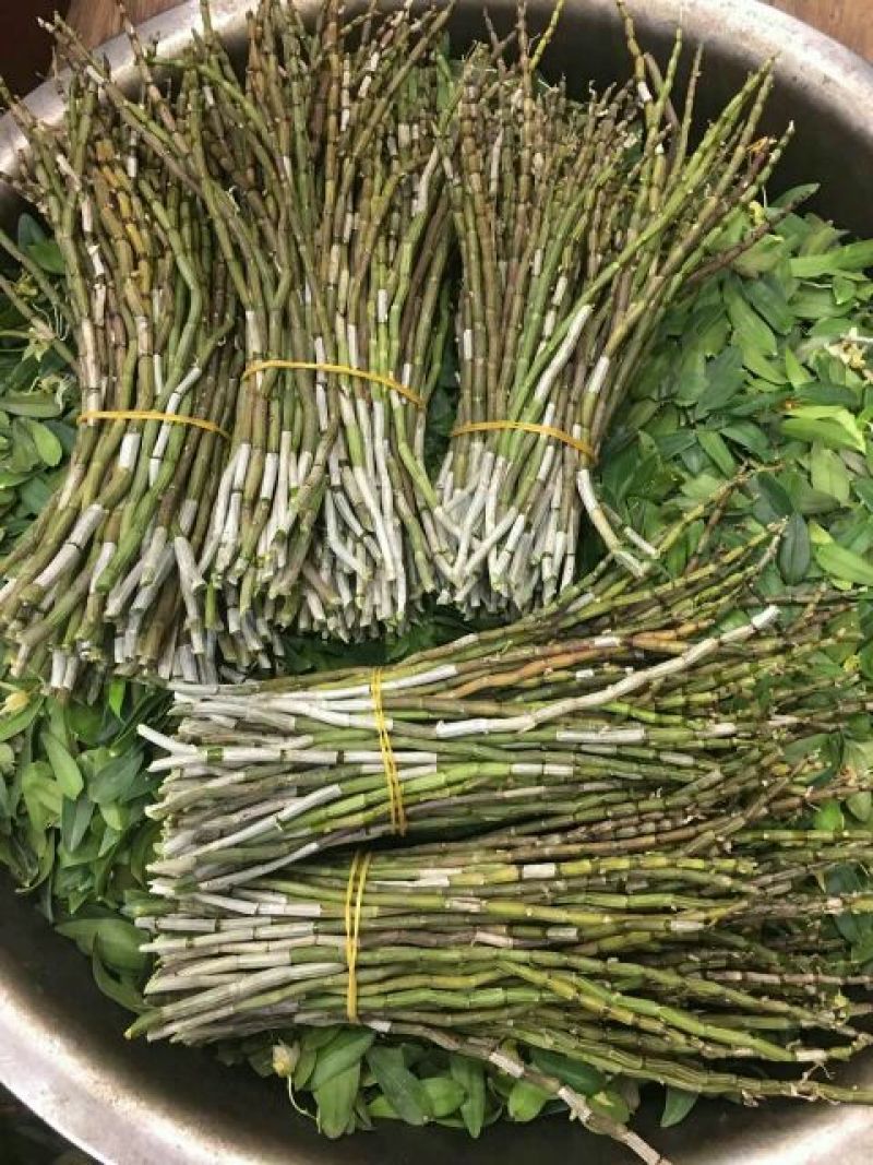 铁皮石斛鲜条雁荡山原产地