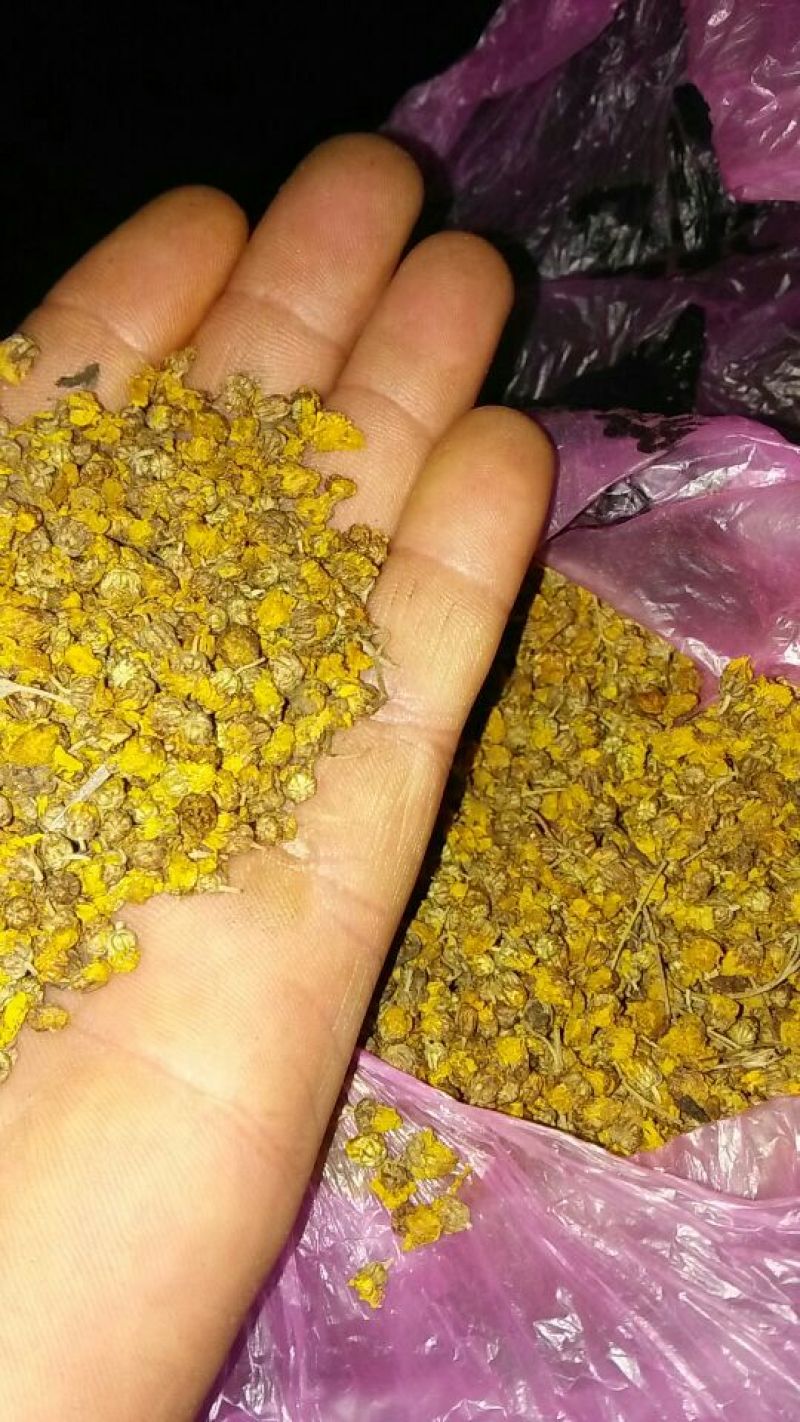 野菊花统货