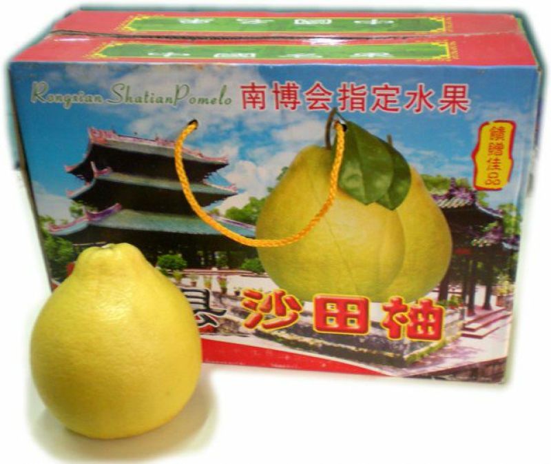 沙田柚