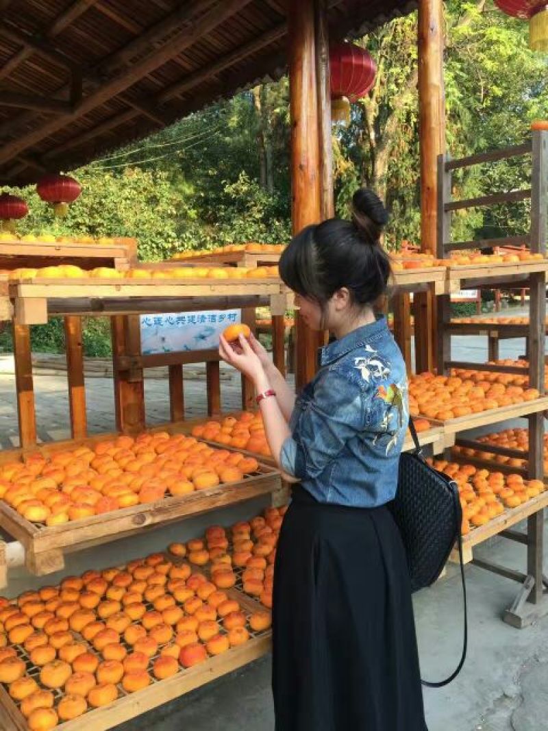 柿饼1~2两
