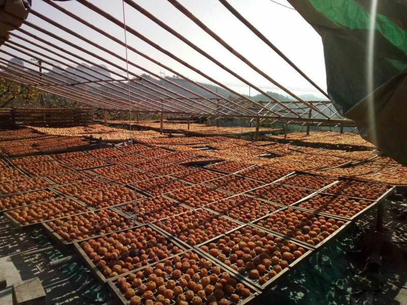 柿饼1~2两
