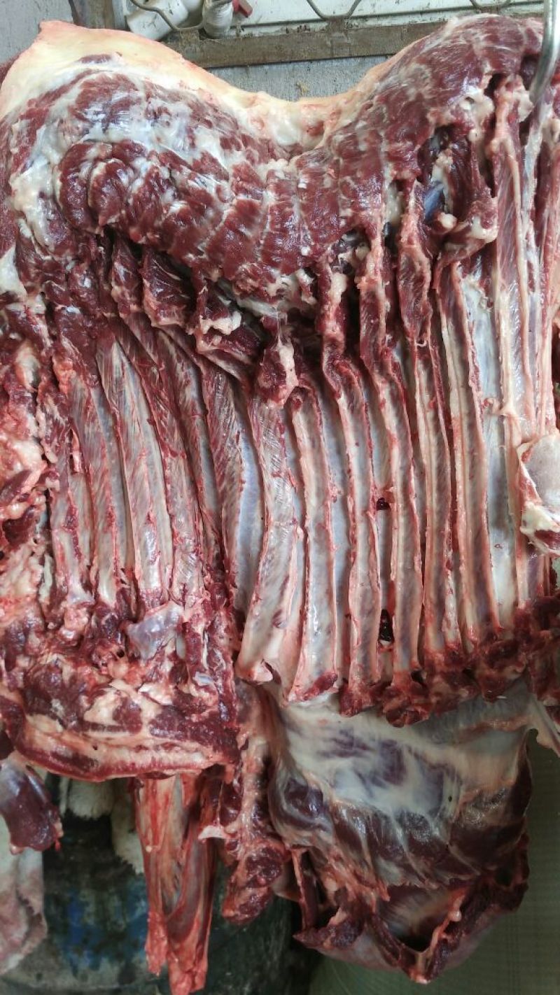 驴肉鲜货