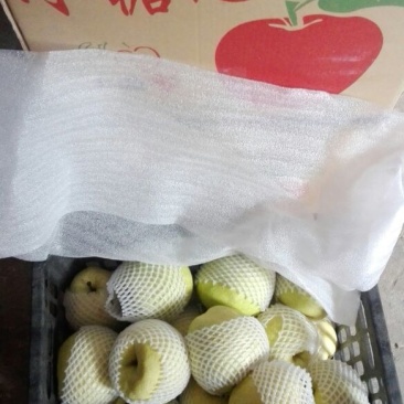 酥梨250~300g纸袋