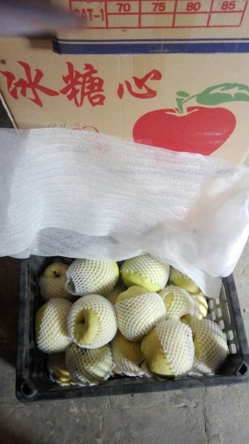 酥梨250~300g纸袋