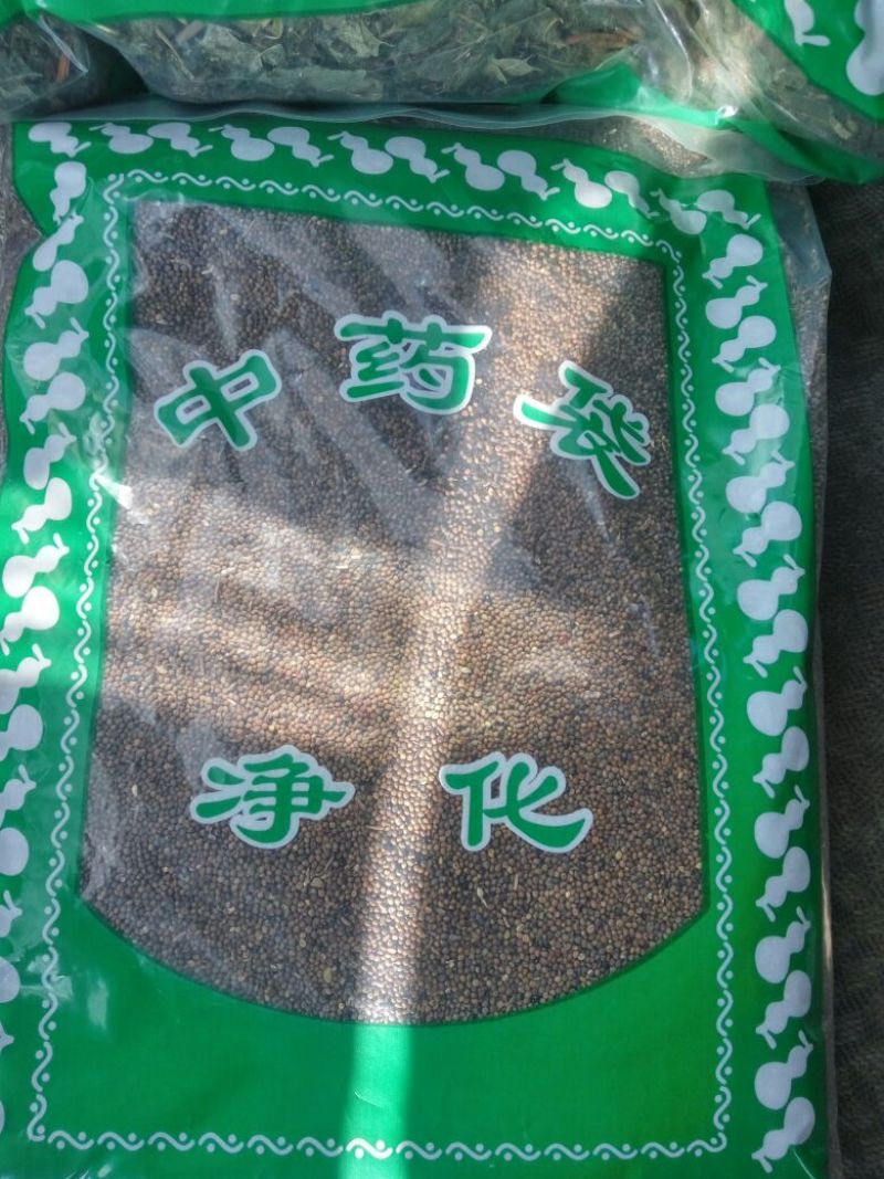 菟丝子水洗