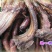 腊肉食用大排肉肉制品